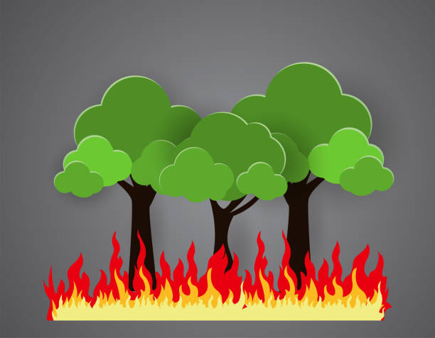 Forest fires vector, Wildfire