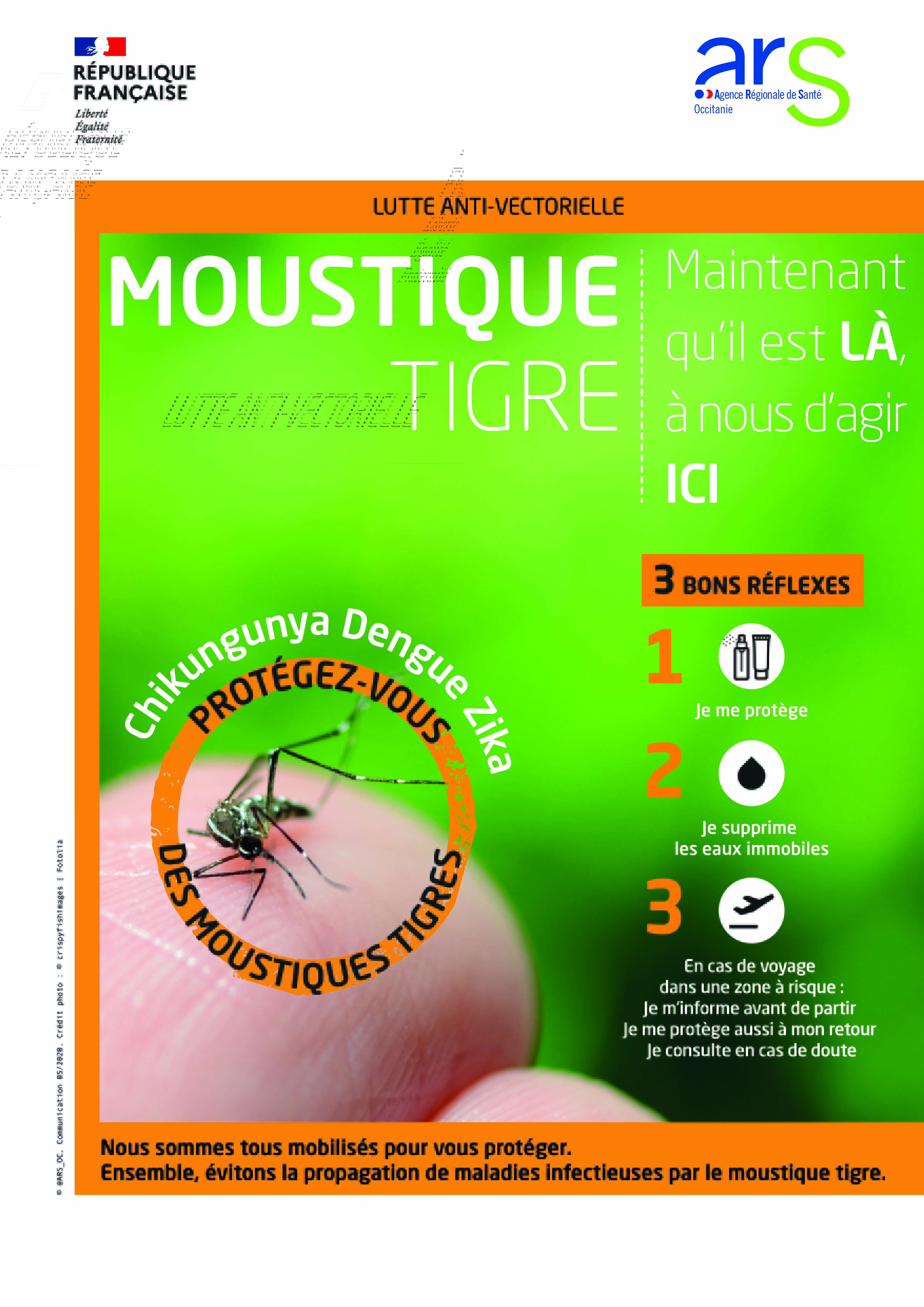 MOUSTIQUE TIGRE REFLEX