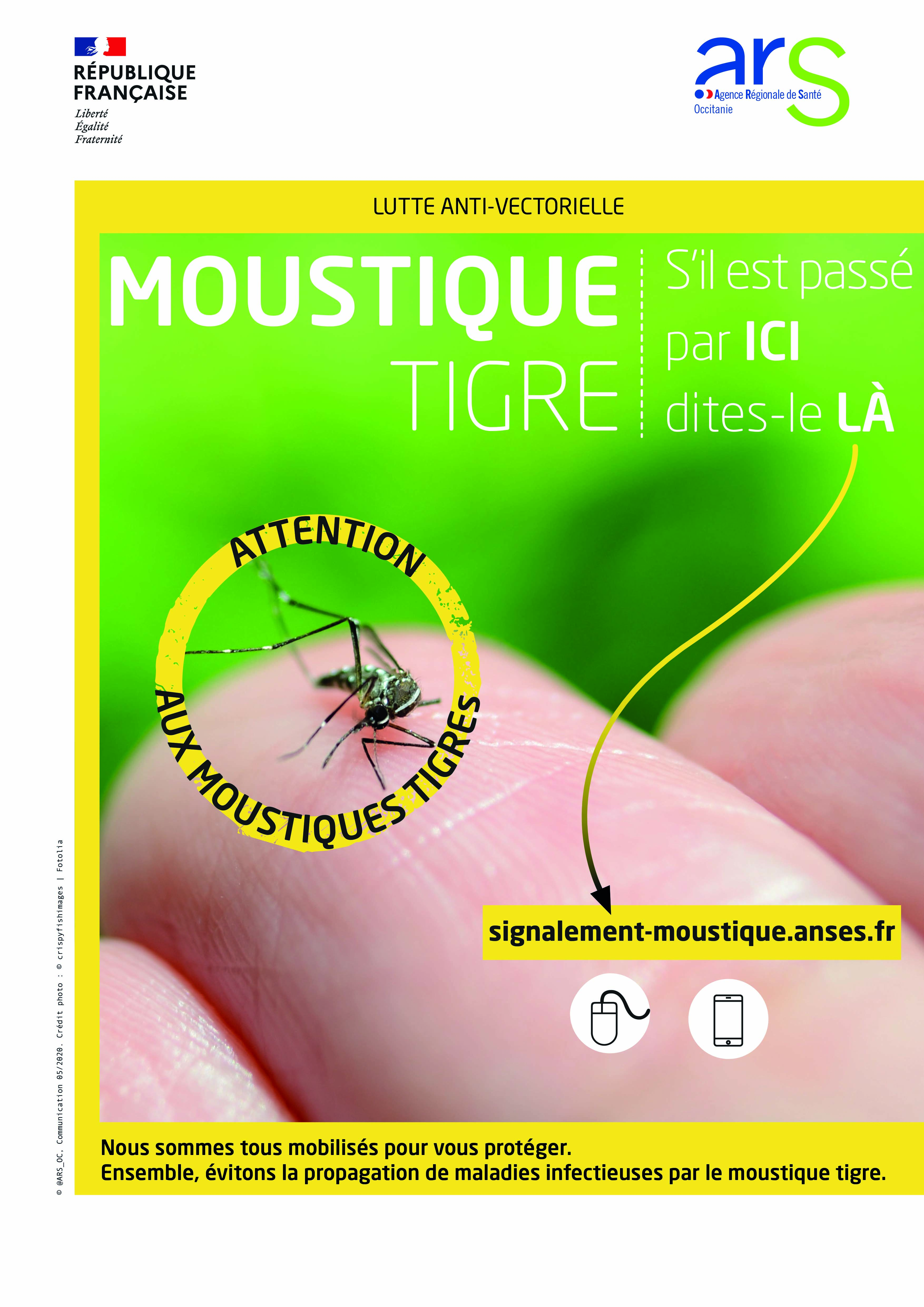 MOUSTIQUE TIGRE SIGNALEMENT