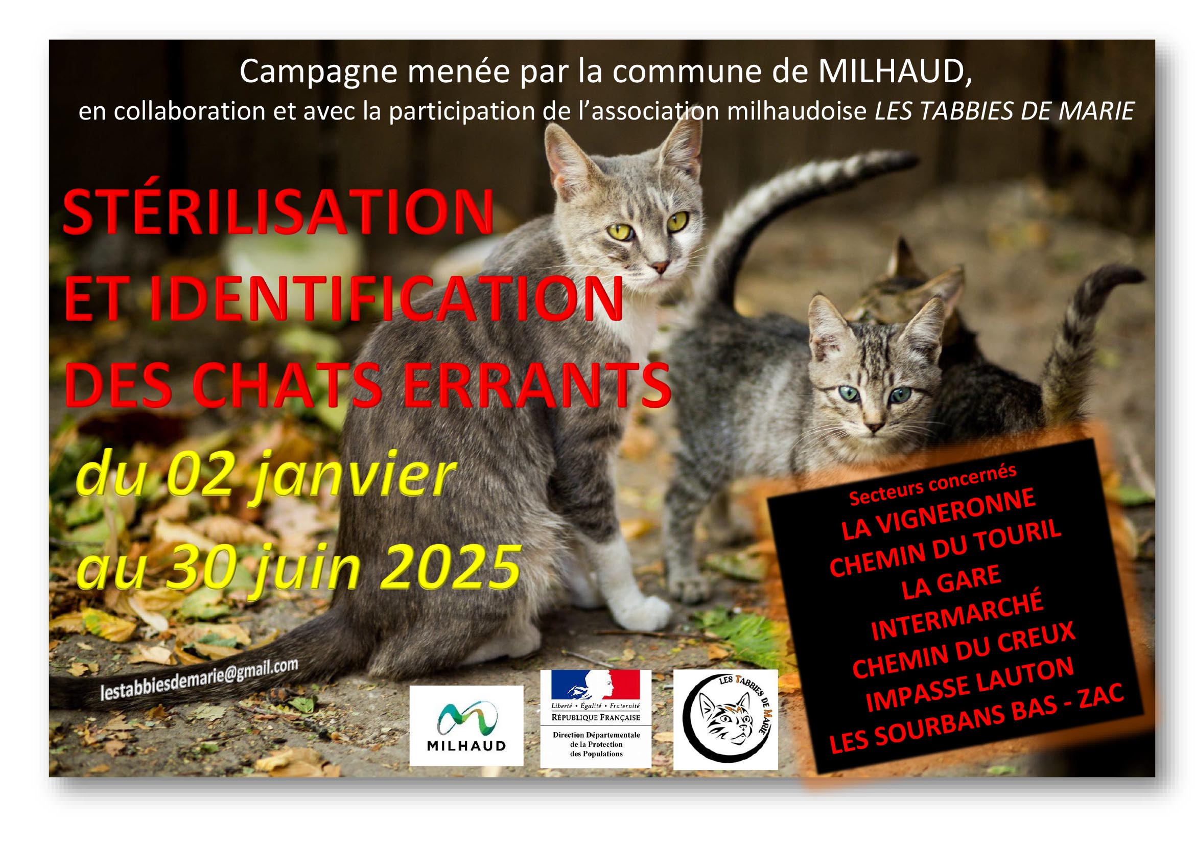 2025 AFF CAMPAGNE STERILISATION CHATS