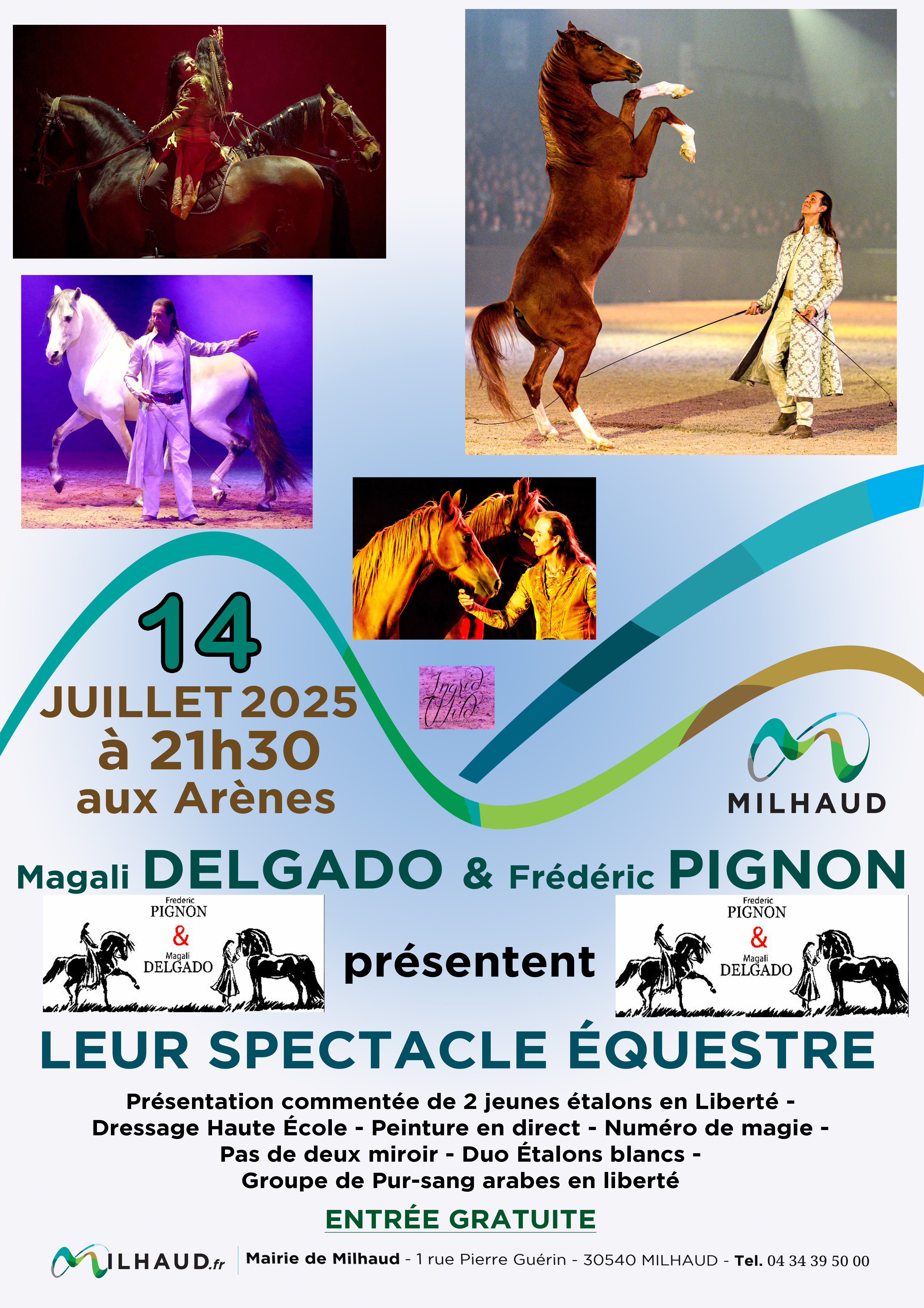 PIGNON 3 14 04 2025