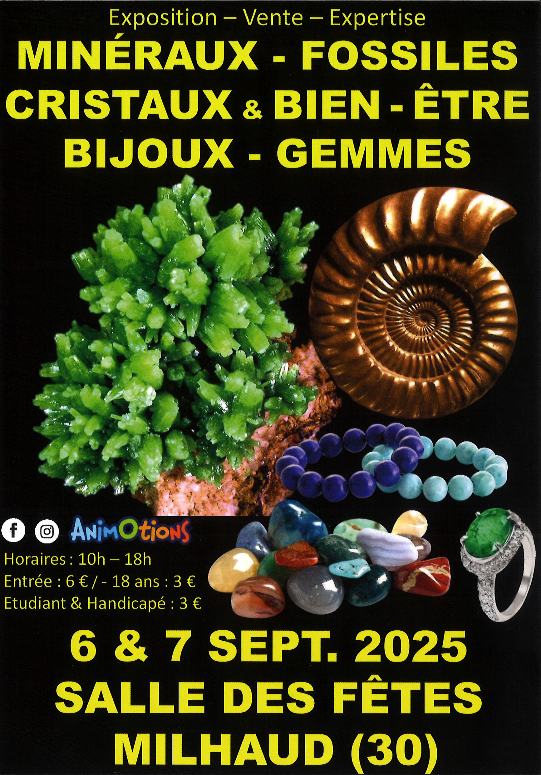 2025 SALON DES MINERAUX 06 07 09 2025