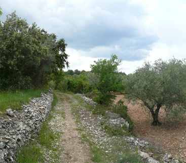 GARRIGUE 1